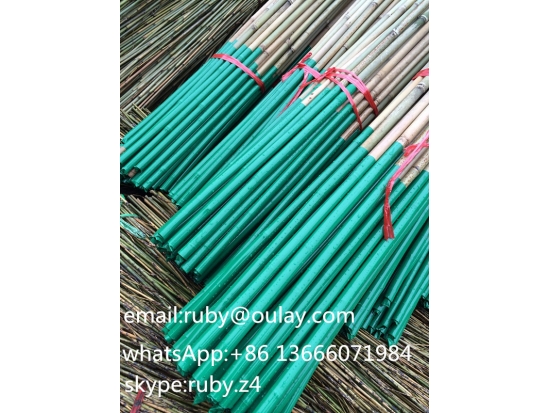 Plastic Coated Garden Bamboo Poles