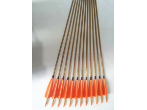 Bamboo Pattern Carbon Arrows