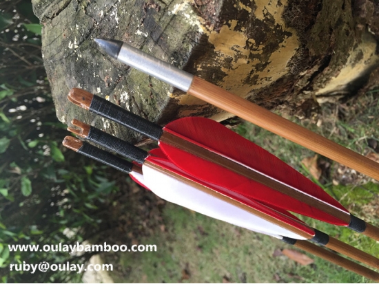Archery Bow Use Hunting Fletched Arrows