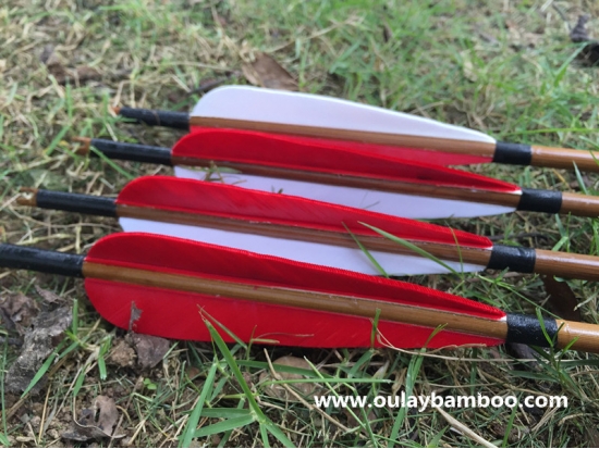 Archery Bow Use Hunting Fletched Arrows