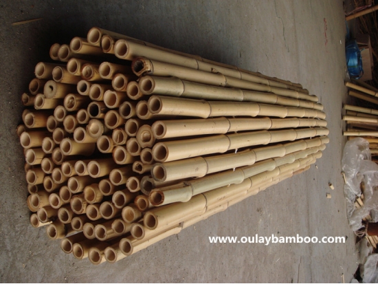 Strong Nature Yellow Dry Bamboo Stakes For Plants