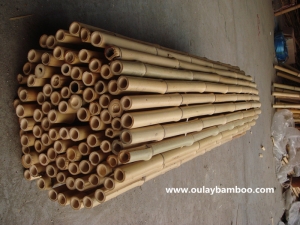Strong Nature Yellow Dry Bamboo Stakes For Plants