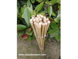 Bamboo Canes For Garden
