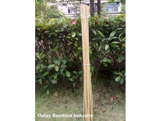 Bamboo Canes For Garden