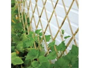 Folding Bamboo Trellis