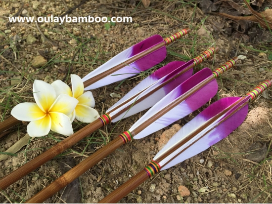 Archery Horse Bow Use Hunting Fletched Arrows With Fancy Turkey Feathers