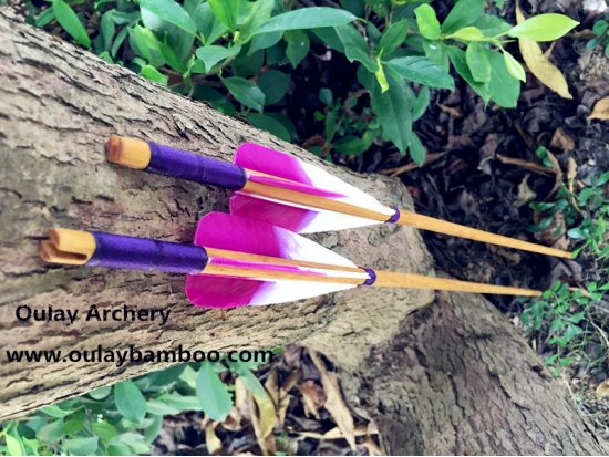 Fancy Wood Arrows
