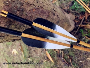 Ramin Wood Arrows