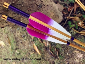 Fancy Wood Arrows