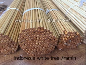 Indonesia White Trees Hunting Arrows