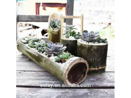 bamboo flower pot