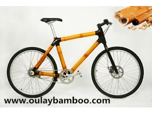 bamboo bike