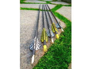 Carbon Arrows