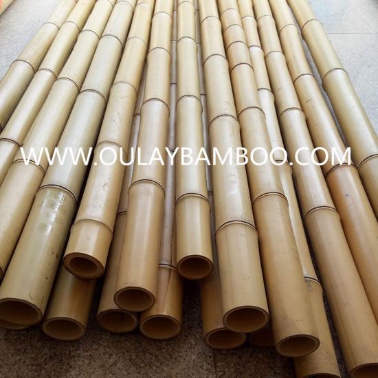 Dry natural bamboo poles for building