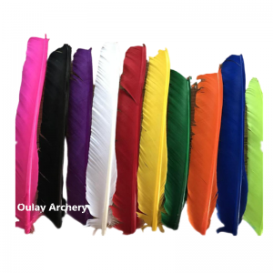 Colorful full length uncut long turkey feathers