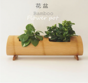 bamboo flowerpot