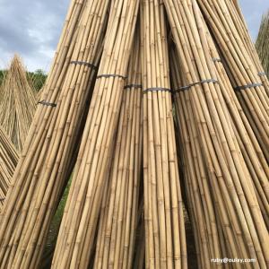 Tonkin bamboo diameter 28-30mm