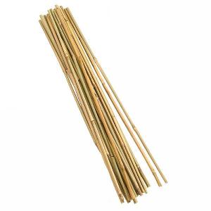 Small package of bamboo canes  for agriculture