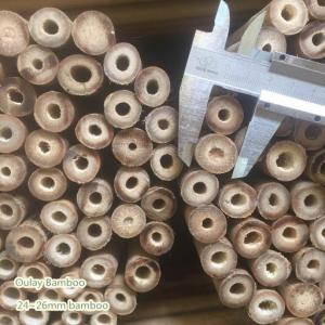 Bamboo Fiber Poles For Sale
