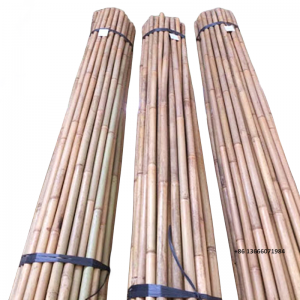 Top quality bamboo cane bundles