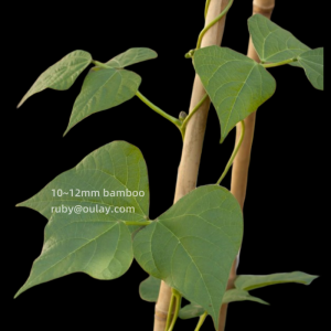 Plant Support Stakes