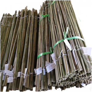 Pole Shape Tonkin Bamboo Material Stakes