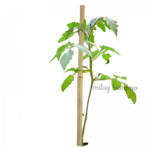 Bamboo Fiber Poles For Sale