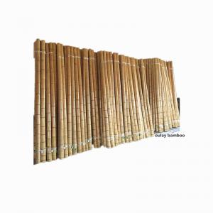 Strong Nature Yellow Dry Bamboo Stakes For Plants