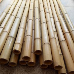 bamboo poles
