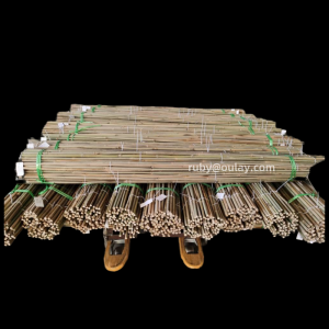 Strong nature yellow dry bamboo stakes