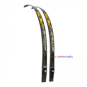 Foam carbon ILF bow limbs