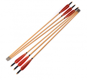 100gr arrow tips wood arows