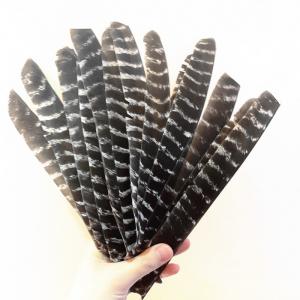 Turkey fletchings for bamboo arrows