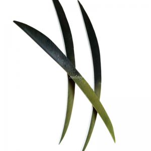 Real turkey feathers for arrows