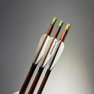 carbon shooting arrows